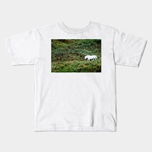 A white horse amongst green and brown ferns, Highlands of Scotland Kids T-Shirt